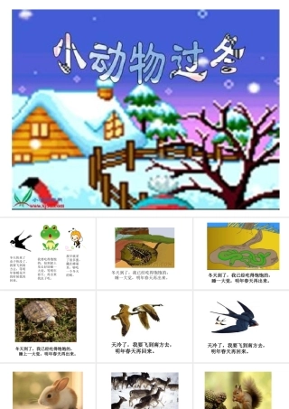 动物怎样过冬