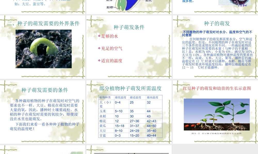 植物种子的萌发