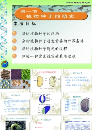 植物种子的萌发