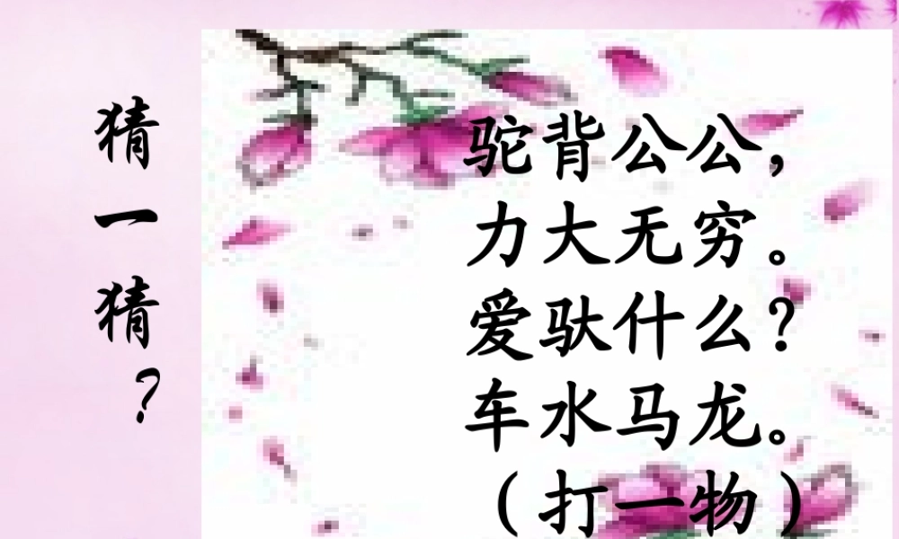 八年级语文上册 第11课 中国石拱桥课件 新人教版 课件