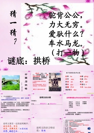 八年级语文上册 第11课 中国石拱桥课件 新人教版 课件