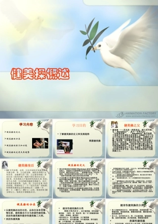 健美操概述[1]