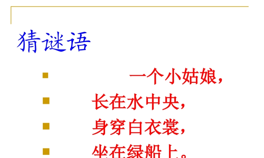 三年级语文下册3荷花
