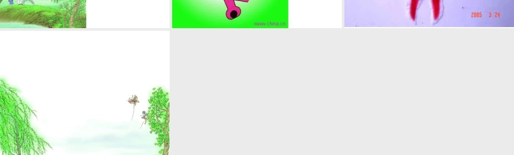 人教版小学语文课件春晓