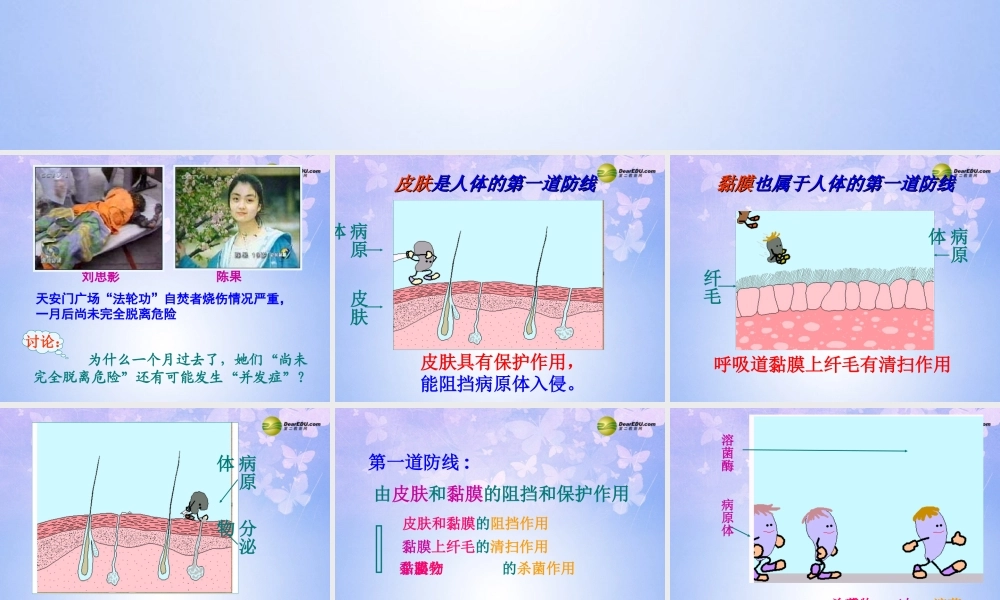 八年级生物上册 免疫课件 苏教版 课件