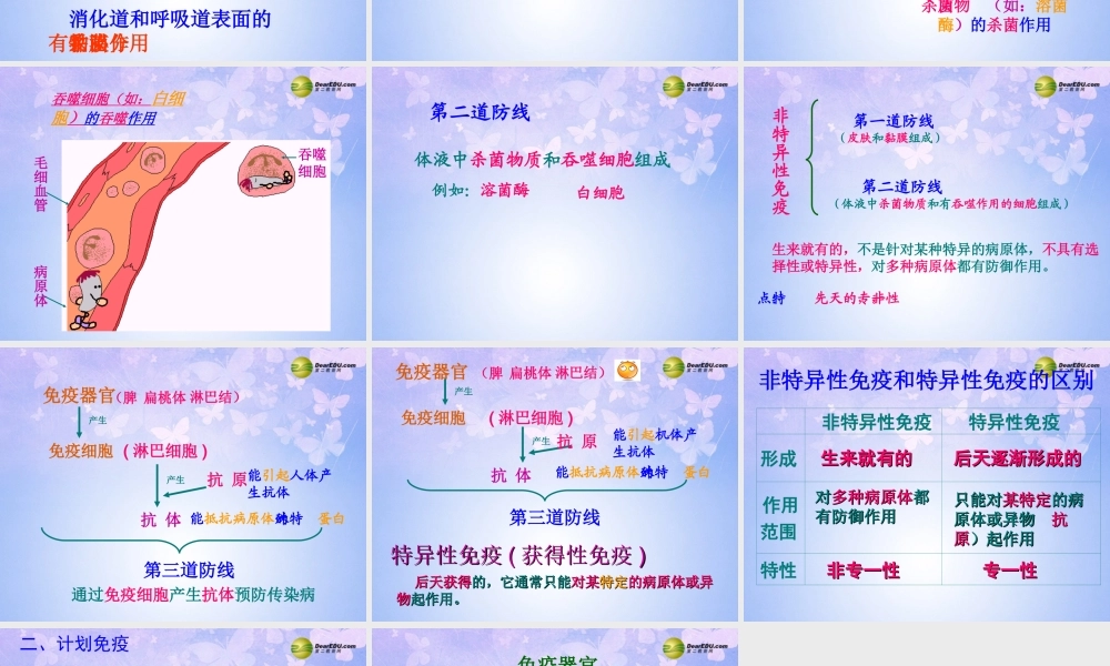 八年级生物上册 免疫课件 苏教版 课件