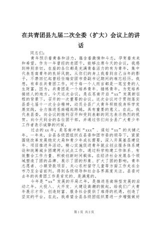 在共青团县九届二次全委（扩大）会议上的讲话
