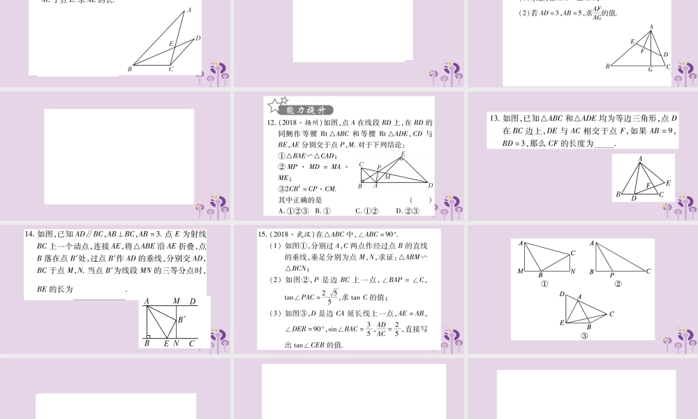 中考数学复习 第一轮 考点系统复习 第4章 三角形 第5节 相似三角形习题课件