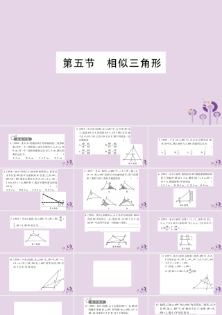 中考数学复习 第一轮 考点系统复习 第4章 三角形 第5节 相似三角形习题课件