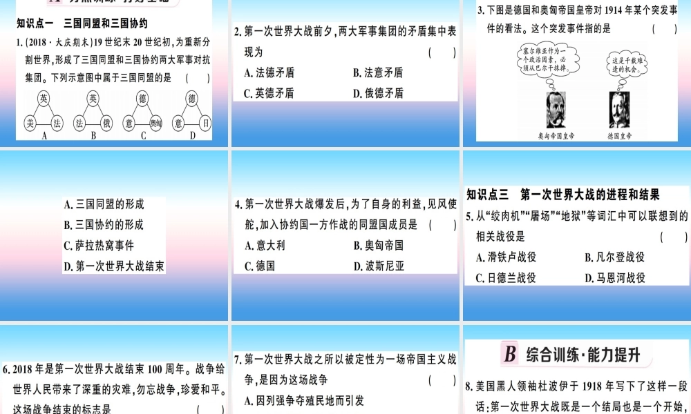九年级历史下册 第三单元 第一次世界大战和战后初期的世界 第8课 第一次世界大战习题课件 新人教版 课件