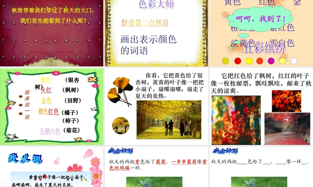 秋天的雨-康志华