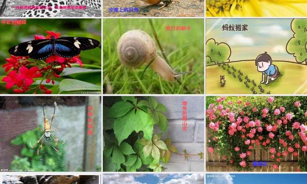 人教版六年级上口语交际习作一