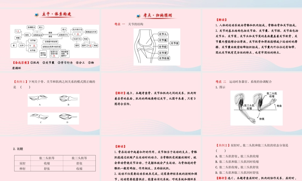 八年级生物上册 阶段专题复习 第五单元 第二、三章课件 (新版)新人教版 课件