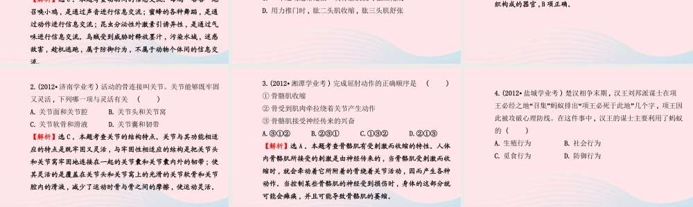 八年级生物上册 阶段专题复习 第五单元 第二、三章课件 (新版)新人教版 课件