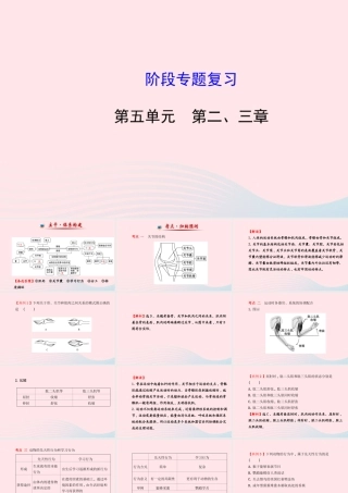 八年级生物上册 阶段专题复习 第五单元 第二、三章课件 (新版)新人教版 课件