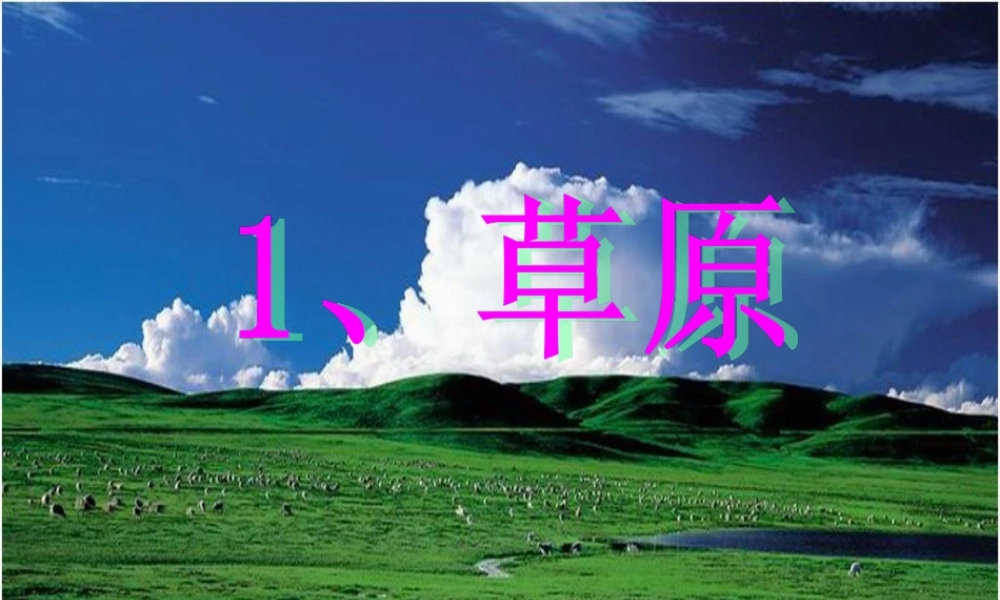 草原PPT课件