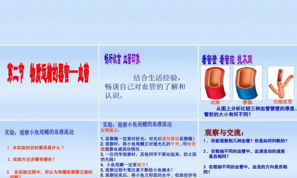 七年级生物下册 物质运输的器官-血管课件 济南版 课件