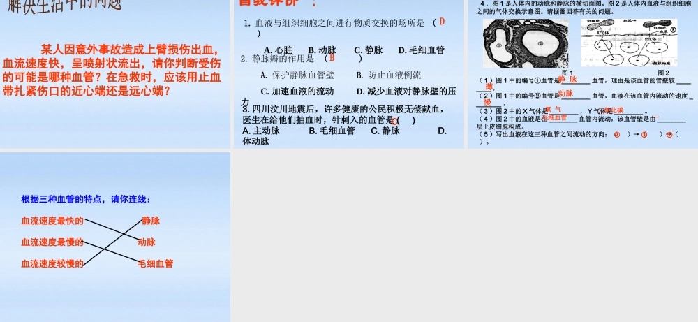 七年级生物下册 物质运输的器官-血管课件 济南版 课件