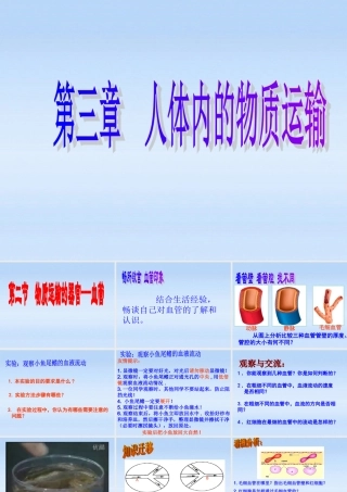 七年级生物下册 物质运输的器官-血管课件 济南版 课件