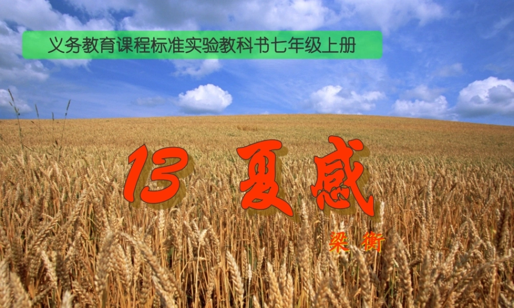 七年级语文上册(夏感)优秀实用课件 人教新课标版 课件