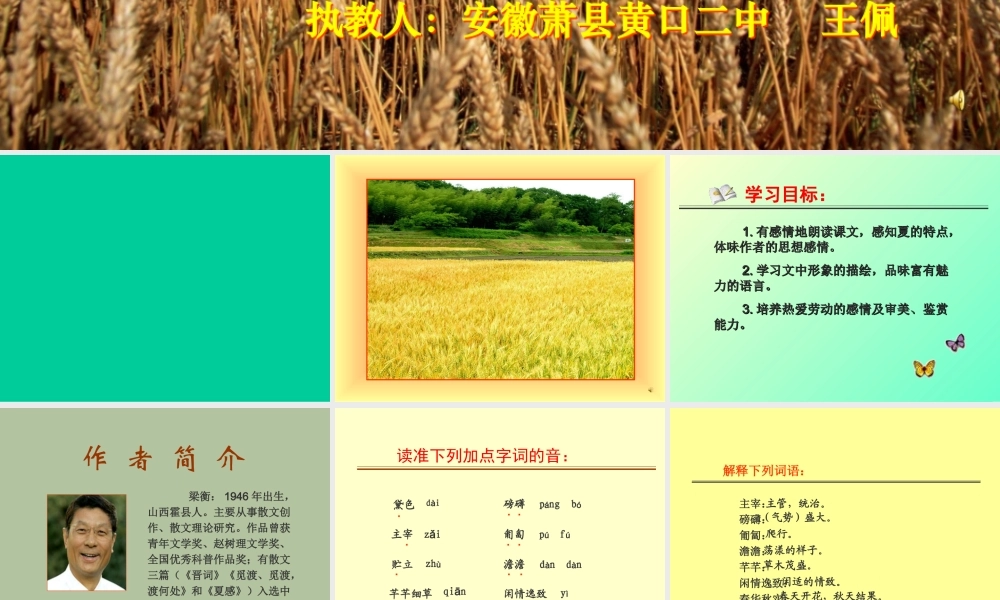 七年级语文上册(夏感)优秀实用课件 人教新课标版 课件