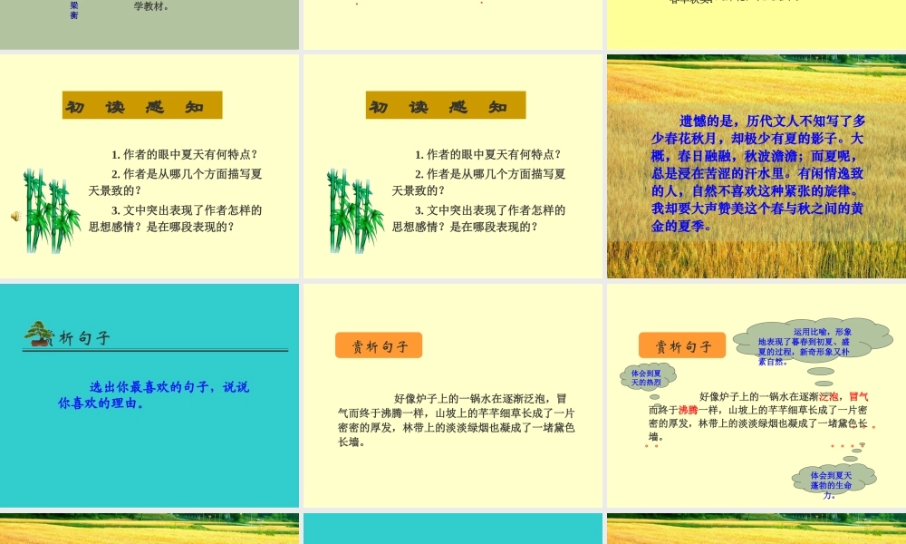 七年级语文上册(夏感)优秀实用课件 人教新课标版 课件