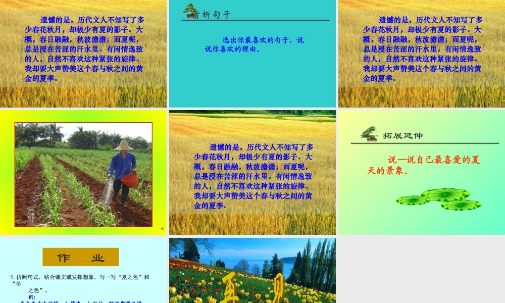 七年级语文上册(夏感)优秀实用课件 人教新课标版 课件