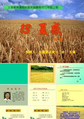 七年级语文上册(夏感)优秀实用课件 人教新课标版 课件