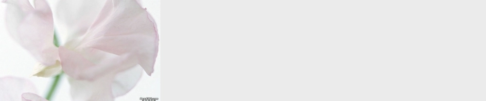 中国区域地理八年级地理下册第五章课件示例 课件