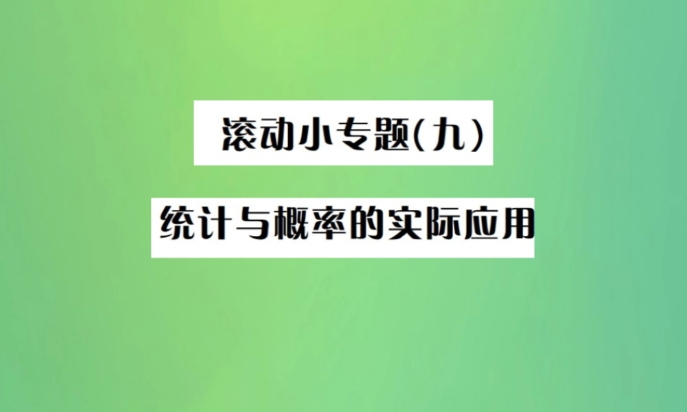 中考数学复习 第八单元 统计与概率 滚动小专题(九)课件