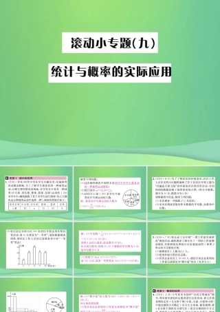 中考数学复习 第八单元 统计与概率 滚动小专题(九)课件