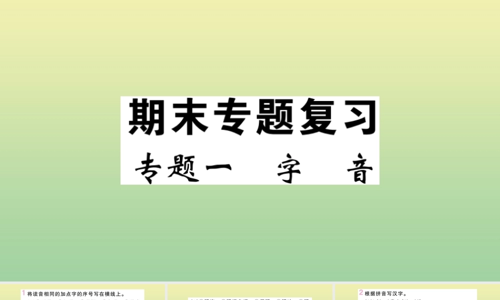 九年级语文上册 专题一 字音作业课件 新人教版 课件
