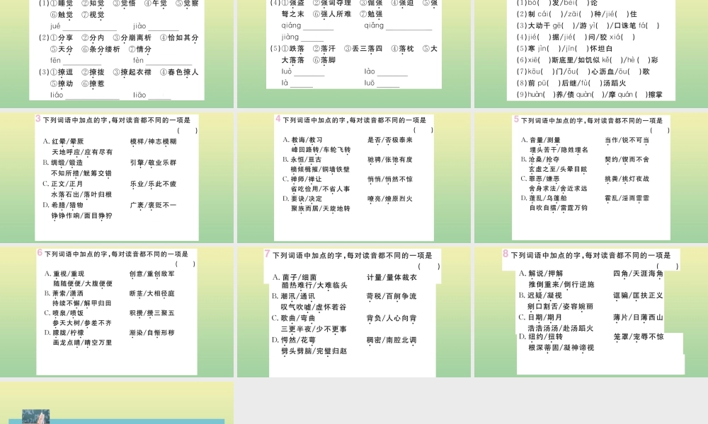 九年级语文上册 专题一 字音作业课件 新人教版 课件