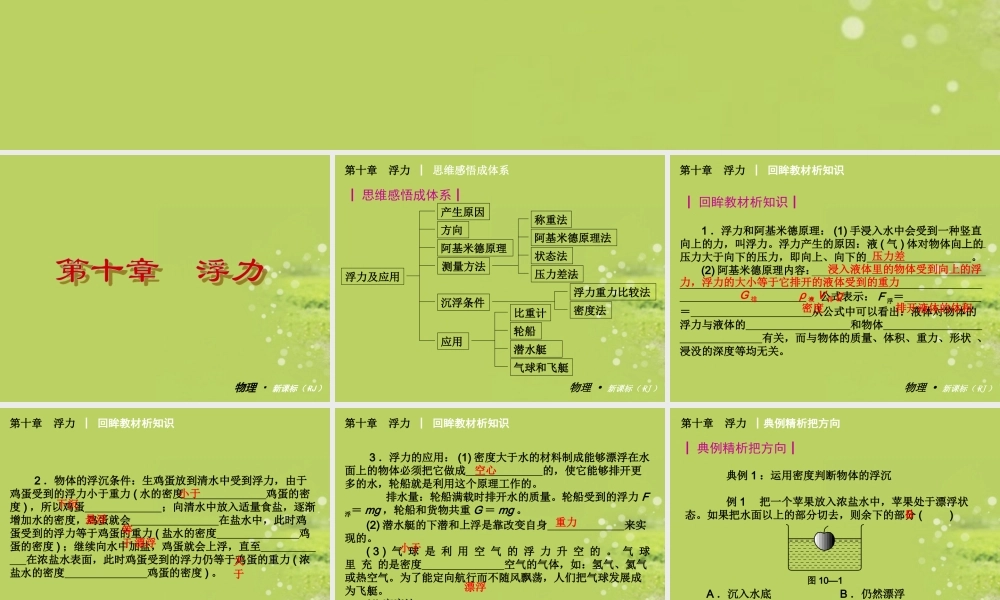 2013年八年级物理下册第十章浮力复习课件新人教版