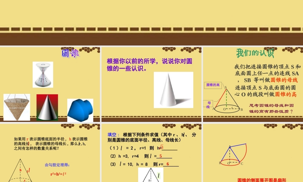 九年级数学下册(244弧长和扇形的面积2-圆锥的侧面展开图)课件 新人教版 课件