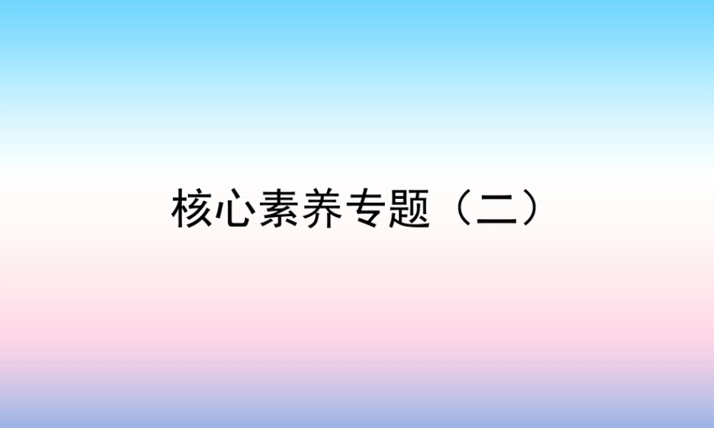 中考数学复习 核心素养专题(二)课件