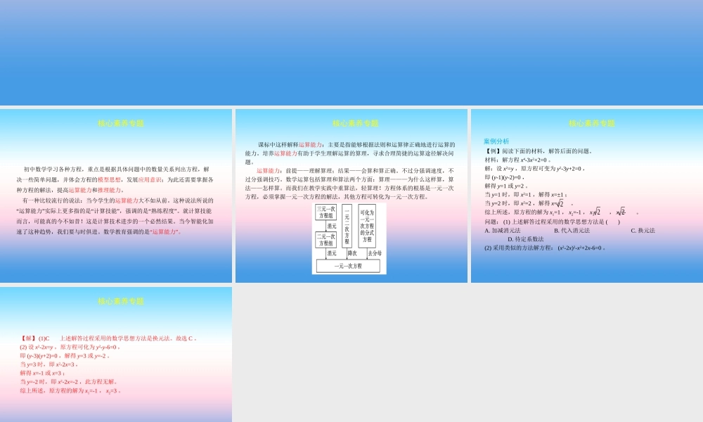 中考数学复习 核心素养专题(二)课件