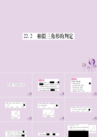 九年级数学上册 第22章 相似形 222 相似三角形的判定 第1课时 平分线与相似三角形作业课件 (新版)沪科版 课件
