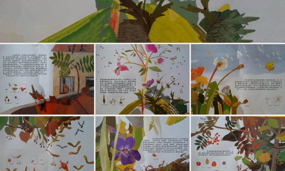 《一粒种子的旅行》PPT