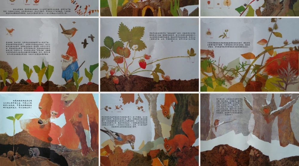 《一粒种子的旅行》PPT