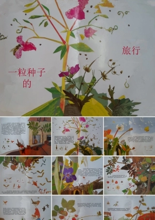 《一粒种子的旅行》PPT