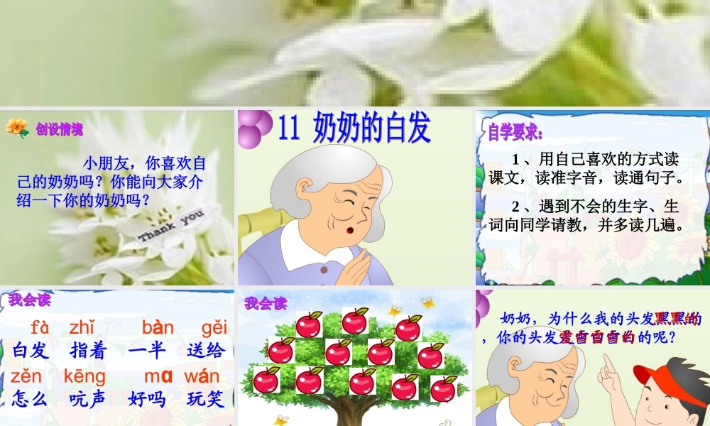 苏教版一年级下册《奶奶的白发》课件4