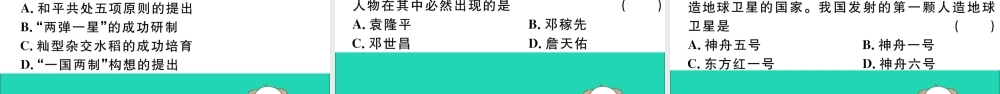 八年级历史下册 第五、六单元小结习题课件 新人教版 课件