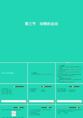 七年级生物上册 2.2.3 动物的运动(第1课时 运动的方式和基础)课件 (新版)济南版 课件