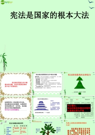 八年级政治下册 第十六课：治国安邦的总章程课件 鲁教版 课件