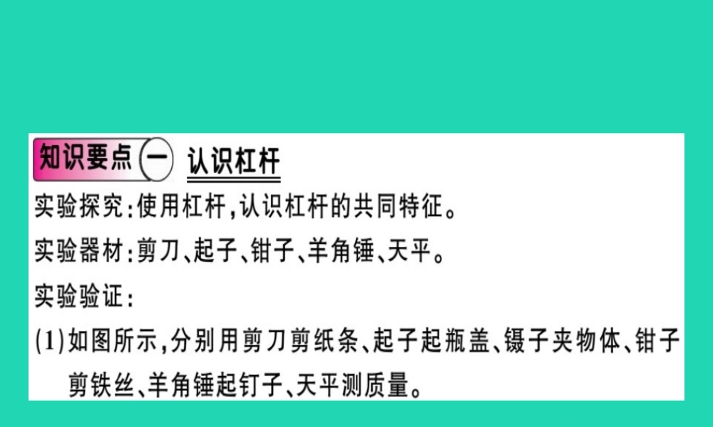 八年级物理全册 第十章 第一节 科学探究 杠杆的平衡条件(第1课时 认识杠杆和杠杆的平衡条件)习题课件 (新版)沪科版 课件