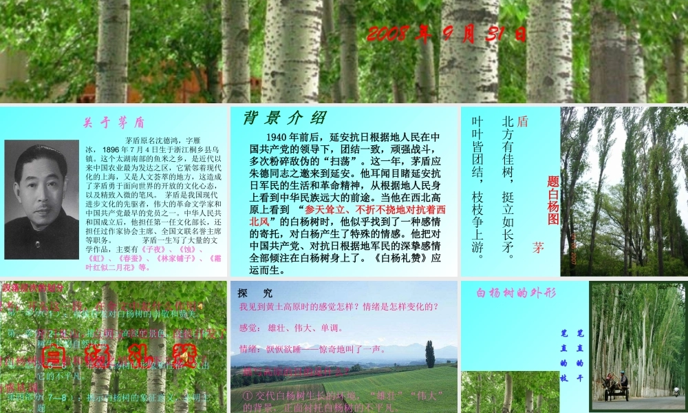 《白杨礼赞》2