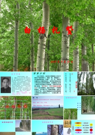 《白杨礼赞》2