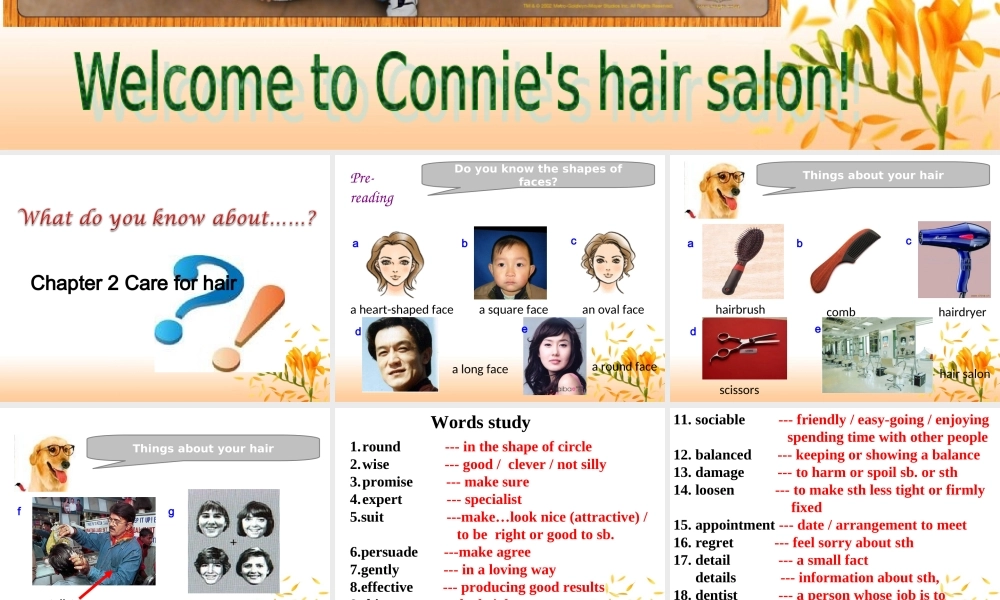 九年级英语：Chapter 2 Care for hair课件(深圳牛津版) 课件