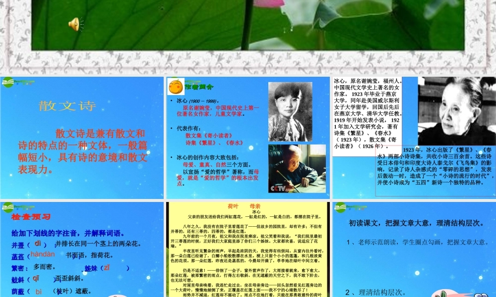 七年级语文上册 第五单元第24课(荷叶 母亲)课件 人教新课标版 课件